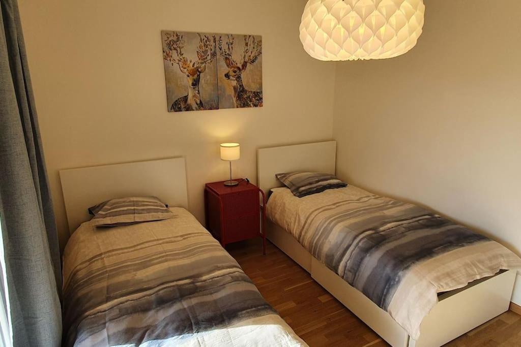 Apartment Via San Carlo In Muralto-Locarno Luaran gambar